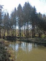 Bild 32 (200 Bildaufrufe)