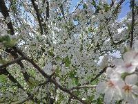 Bild 37 (202 Bildaufrufe)