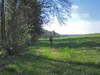 Bild 44 (162 Bildaufrufe)