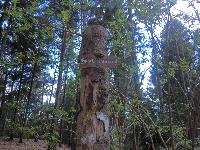 Bild 5 (255 Bildaufrufe)