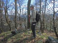 Bild 13 (233 Bildaufrufe)