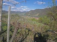 Bild 16 (228 Bildaufrufe)