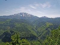 Turmkogel (258 Bildaufrufe)