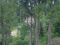 Bild 11 (310 Bildaufrufe)