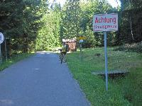 Bild 18 (249 Bildaufrufe)