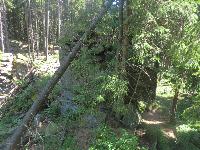 Bild 25 (206 Bildaufrufe)