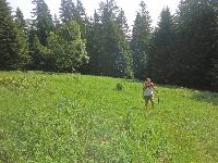 Bild 6 (350 Bildaufrufe)