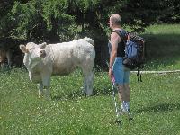 Bild 9 (328 Bildaufrufe)