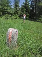 Bild 12 (341 Bildaufrufe)