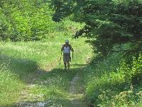 Bild 14 (351 Bildaufrufe)