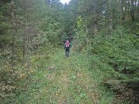 Bild 3 (412 Bildaufrufe)