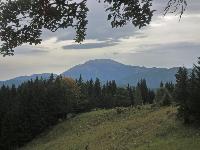Jochart (312 Bildaufrufe)
