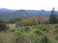 Jochart (304 Bildaufrufe)