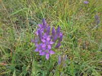 Bild 13 (343 Bildaufrufe)