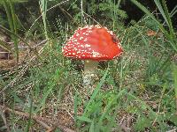 Bild 14 (256 Bildaufrufe)
