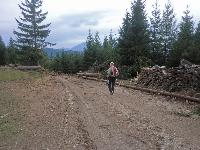 Bild 15 (327 Bildaufrufe)