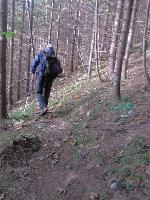 Bild 1 (358 Bildaufrufe)