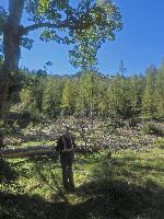 Bild 7 (314 Bildaufrufe)