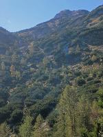 Bild 8 (341 Bildaufrufe)