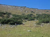 Bild 9 (324 Bildaufrufe)