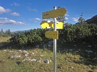 Bild 16 (301 Bildaufrufe)