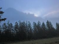 Riegerin (393 Bildaufrufe)