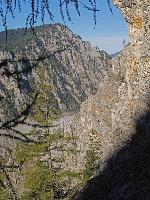 Bild 8 (392 Bildaufrufe)