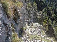 Bild 10 (477 Bildaufrufe)