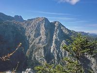 Bild 13 (407 Bildaufrufe)