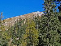 Riegerin (397 Bildaufrufe)