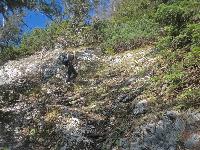 Riegerin (358 Bildaufrufe)