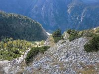 Bild 17 (376 Bildaufrufe)