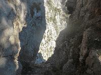 Riegerin (462 Bildaufrufe)