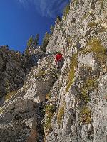Bild 28 (568 Bildaufrufe)