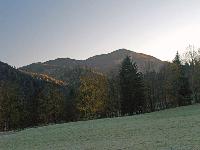 Bild 4 (297 Bildaufrufe)