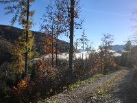Bild 5 (296 Bildaufrufe)