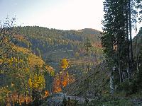 Bild 7 (245 Bildaufrufe)