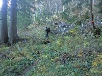 Hohe Student (286 Bildaufrufe)