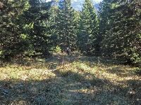 Bild 10 (299 Bildaufrufe)