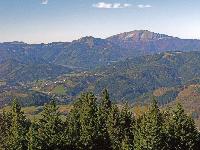 Bild 18 (243 Bildaufrufe)