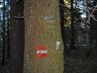 Bild 23 (249 Bildaufrufe)