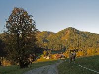 Hohe Student (296 Bildaufrufe)