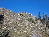 Bild 6 (277 Bildaufrufe)