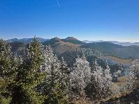 Bild 10 (275 Bildaufrufe)