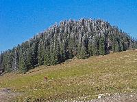 Bild 12 (284 Bildaufrufe)