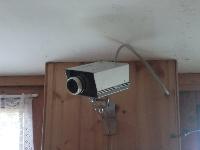 Bild 10 (279 Bildaufrufe)