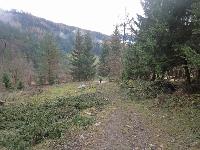 Bild 11 (265 Bildaufrufe)