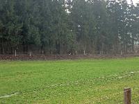 Wachtberg (301 Bildaufrufe)