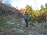 Bild 1 (325 Bildaufrufe)