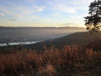Bild 6 (267 Bildaufrufe)